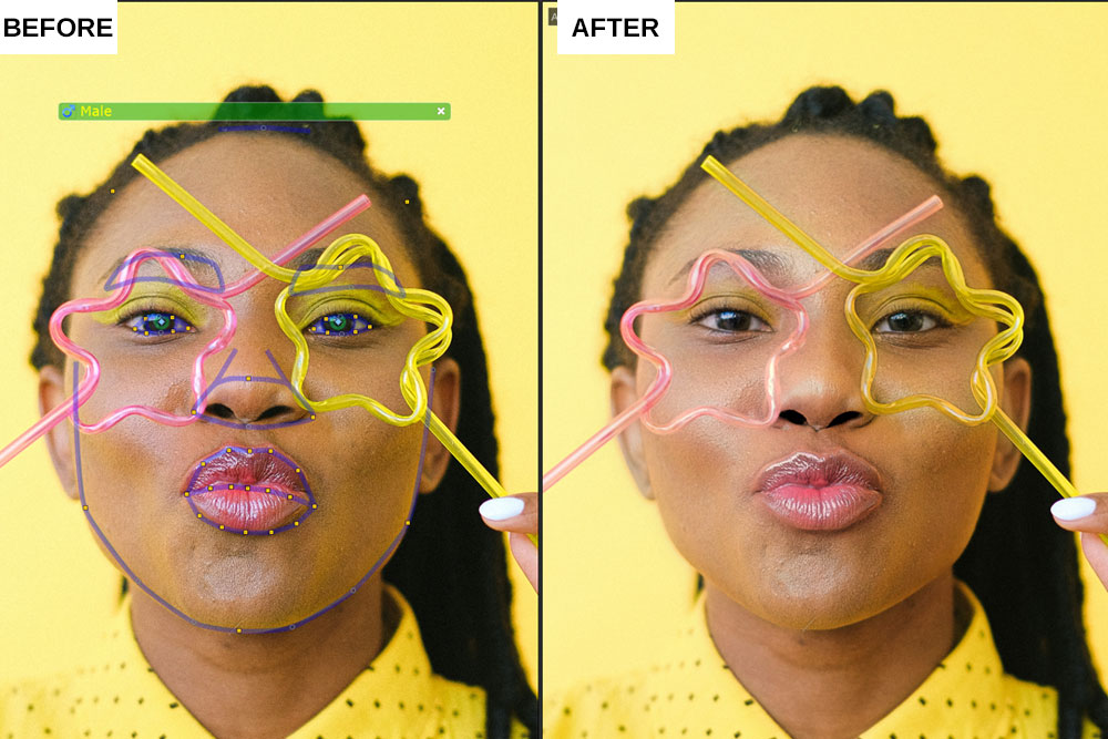 Portrait Pro 19 review Standard Enhancement Obstructed Face