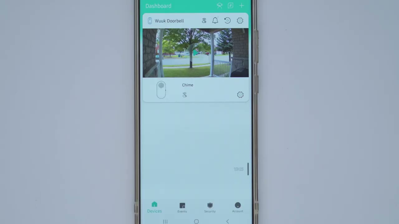Screenshot — Video Playback