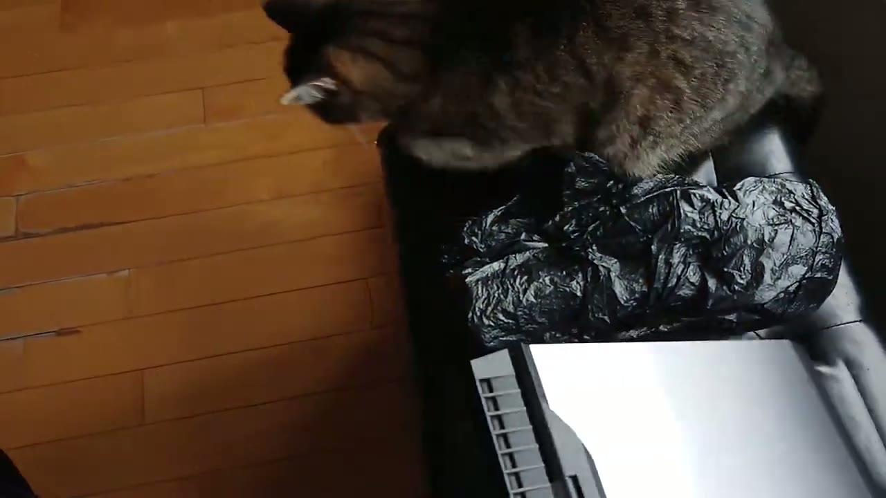 Screenshot — Laptop Fit & Space