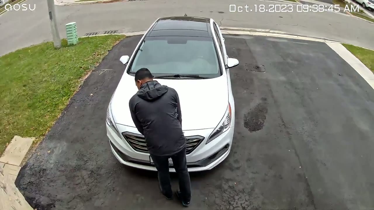 Screenshot — Motion Detection & Tracking