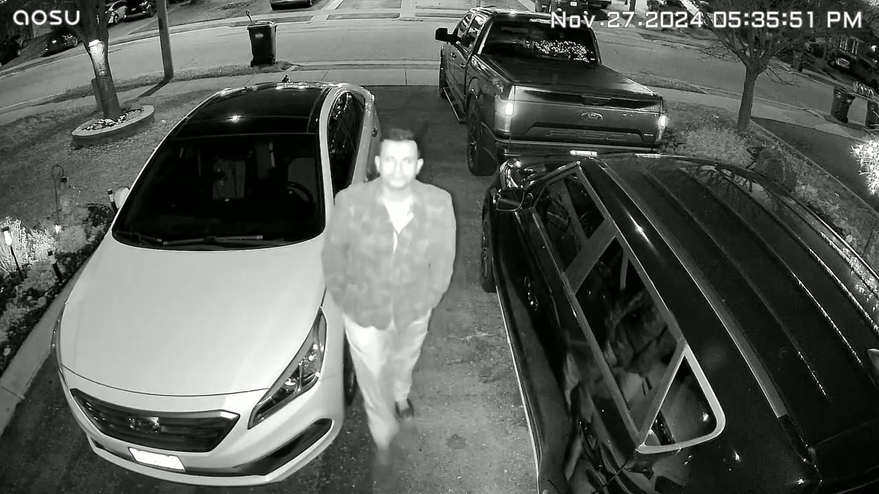 Screenshot — Cross Camera Tracking