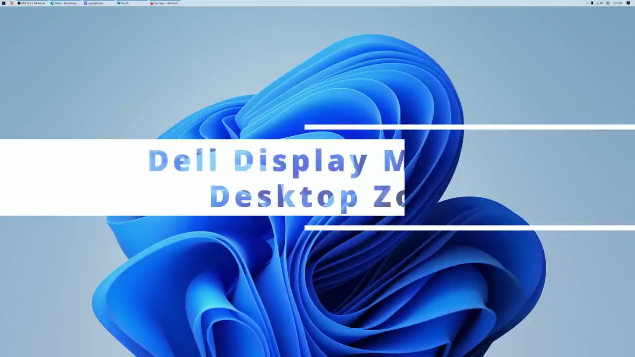 Screenshot — Dell Display Manager