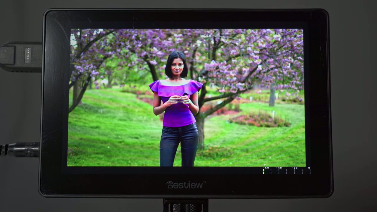 Screenshot — Monitor Menu & Settings