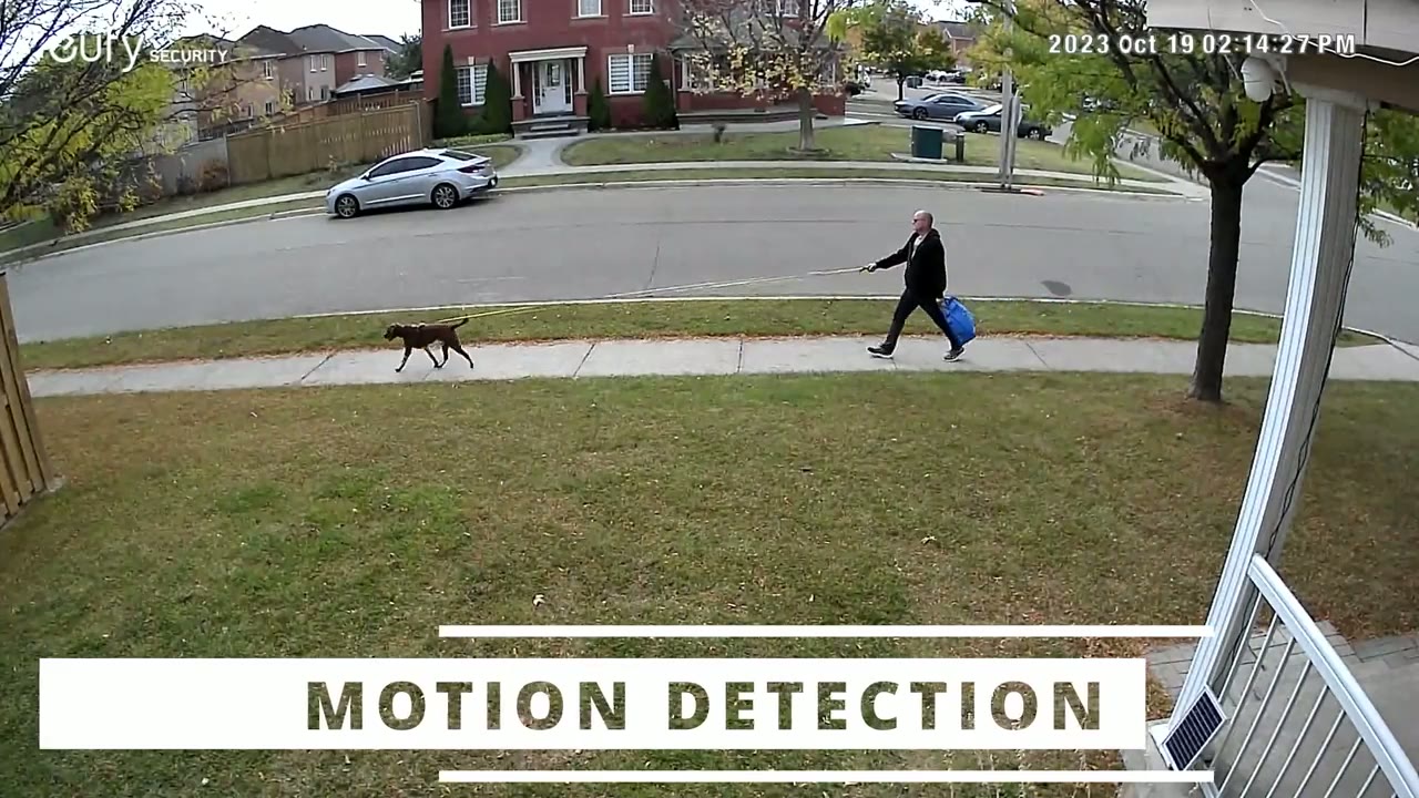 Screenshot — Motion Detection