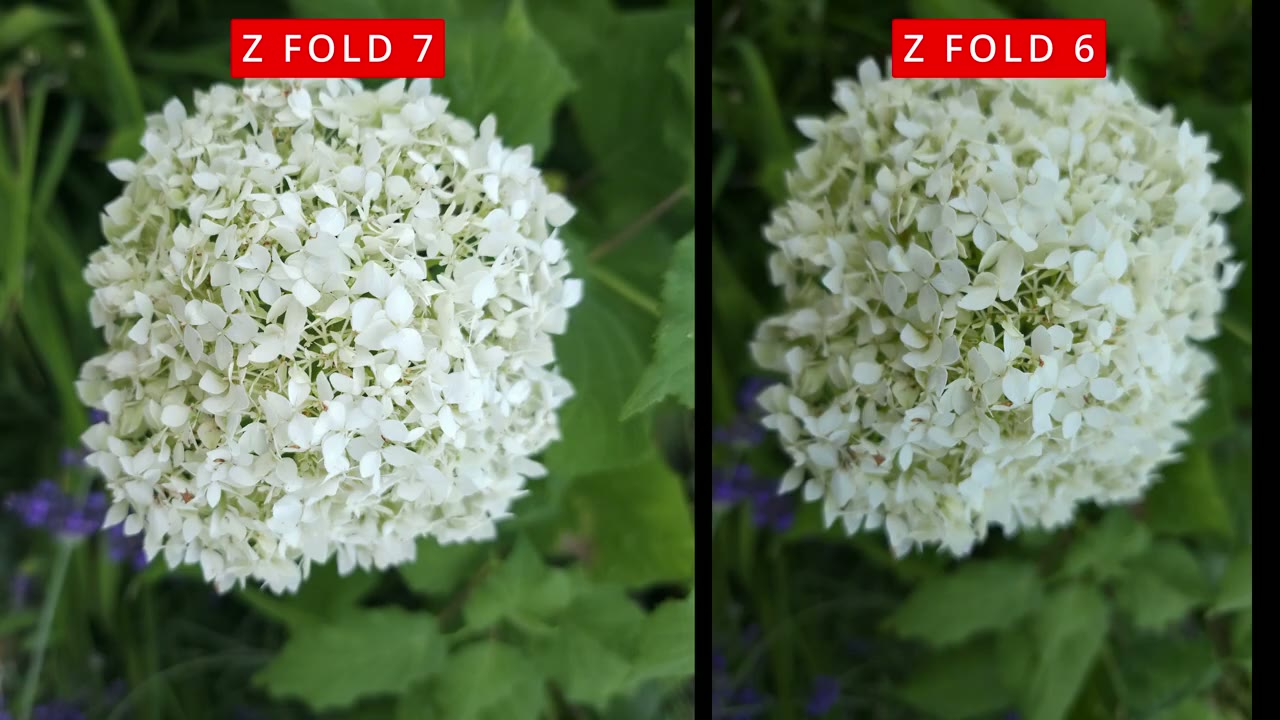 Screenshot — What Changes?