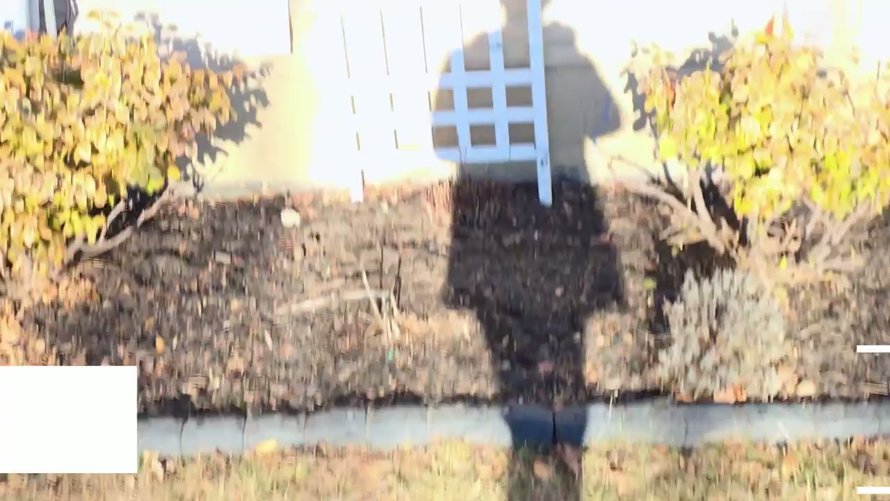 Screenshot — Motion Detection