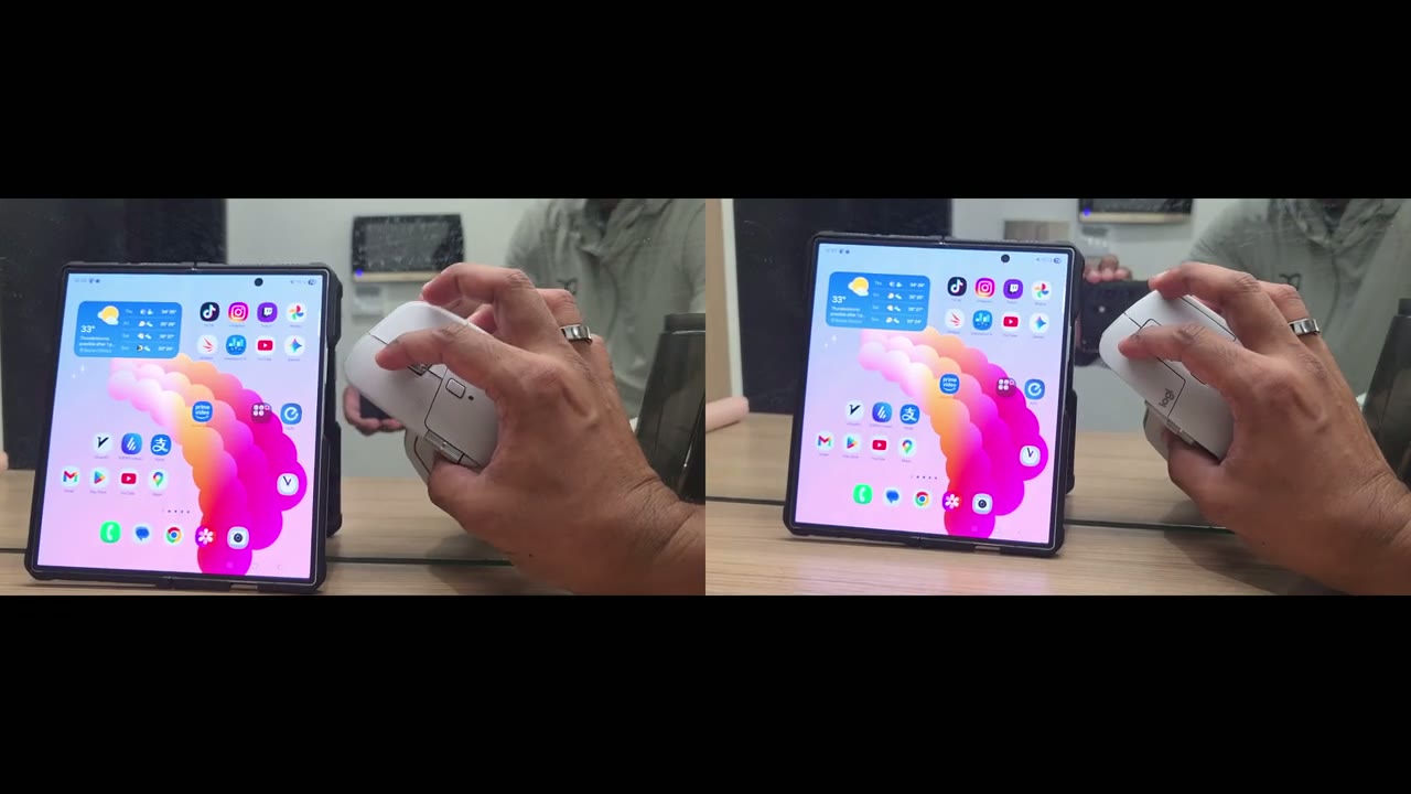 Screenshot — Software