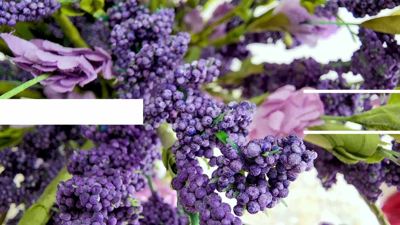 Screenshot — Photo Quality