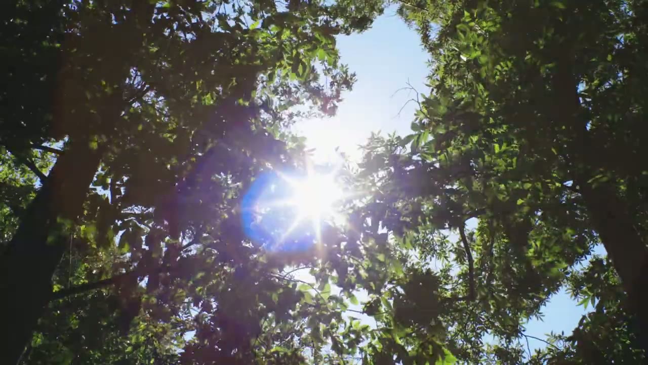 Screenshot — Storage