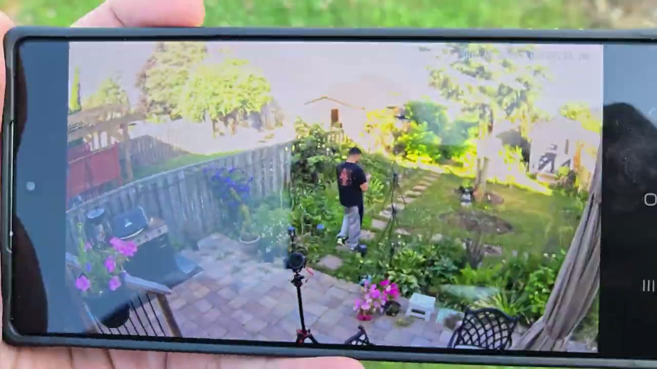 Screenshot — Motion Detection