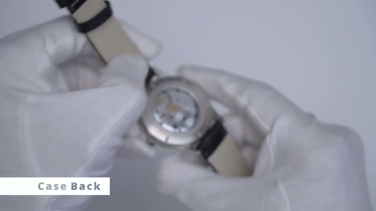 Screenshot — Case Back